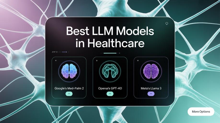 llm in healthcare